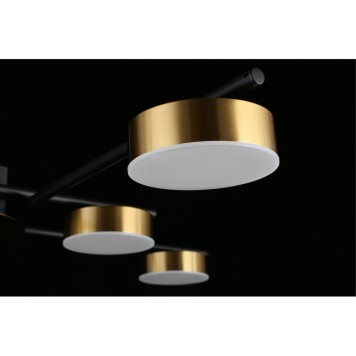 Светильник потолочный Aployt Delayn APL.042.07.56-10