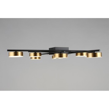 Светильник потолочный Aployt Delayn APL.042.07.56-2