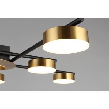 Светильник потолочный Aployt Delayn APL.042.07.56-3