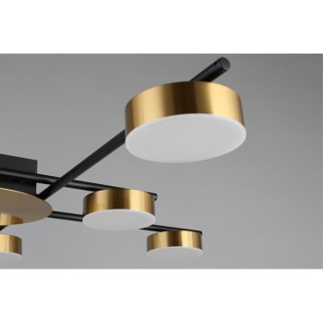 Светильник потолочный Aployt Delayn APL.042.07.56-4