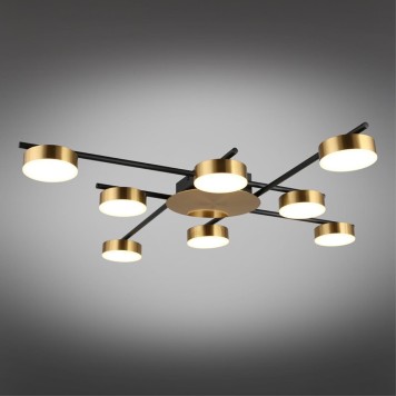 Светильник потолочный Aployt Delayn APL.042.07.56-5