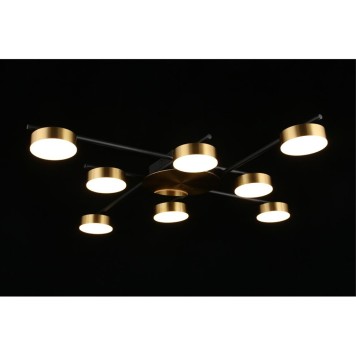 Светильник потолочный Aployt Delayn APL.042.07.56-6