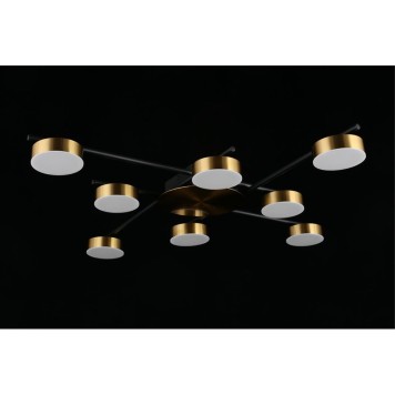 Светильник потолочный Aployt Delayn APL.042.07.56-7