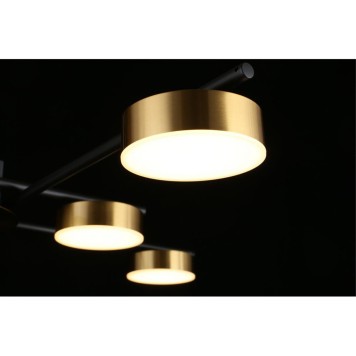 Светильник потолочный Aployt Delayn APL.042.07.56-9