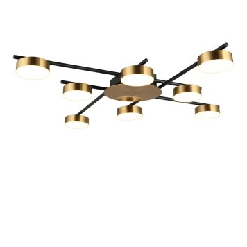 Светильник потолочный Aployt Delayn APL.042.07.56