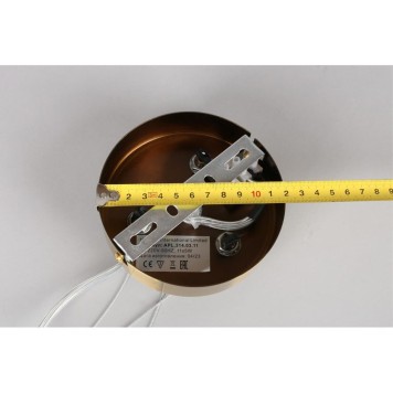 Люстра Aployt Letizia APL.314.03.11-19