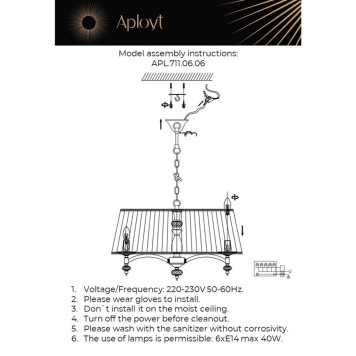 Люстра Aployt Lyusi APL.711.06.06-9