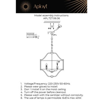 Люстра Aployt Kamila APL.727.06.06-21
