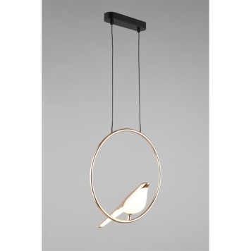 Люстра Aployt Astor APL.822.06.10-1