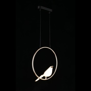 Люстра Aployt Astor APL.822.06.10-11