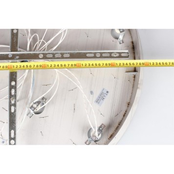 Люстра Aployt Teresa APL.855.06.10-13