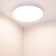 Уличный настенно-потолочный светильник Arlight CL-FRISBEE-MOTION-R250-12W Day4000 030094