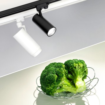 Трековый светильник Arlight LGD-GERA-4TR-R74-20W Day SP5000-Veg 032461-6