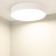 Светильник потолочный Arlight SP-RONDO-R350-30W Day4000 034808