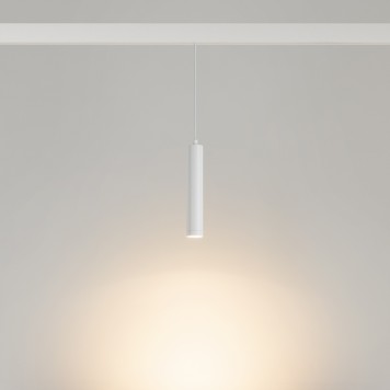 Трековый светильник Arlight MAG-ORIENT-SPOT-HANG-R45-12W Warm3000 035830-1