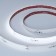Светодиодная лента Arlight SPI-COB-SE-X378-12mm 24V White6000-PX63-BPT 041738