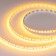 Светодиодная лента Arlight RT-A120-8mm 24V Gold 043385