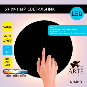Уличный настенный светильник Arte Nimbo A4506AL-1BK-6