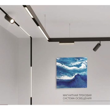 Трековый светильник Arte Linea A4632PL-1BK-2