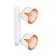 Спот Arte Amaks A8028PL-2WH