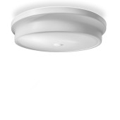 Светильник потолочный Arti Lampadari Tavoleto L 1.13.41 W