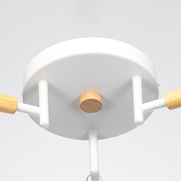 Светильник потолочный Citilux Tika CL133130-10