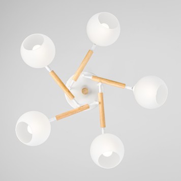 Светильник потолочный Citilux Tika CL133150-6