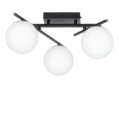 Светильник потолочный Citilux Dorsy CL223132