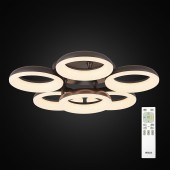 Светильник потолочный Citilux Паркер CL225165R