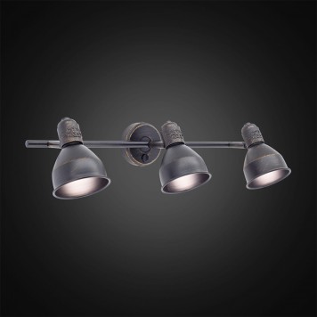 Спот Citilux Опус CL502532-2