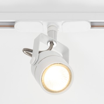 Трековый светильник Citilux Ринг CL525T10-2