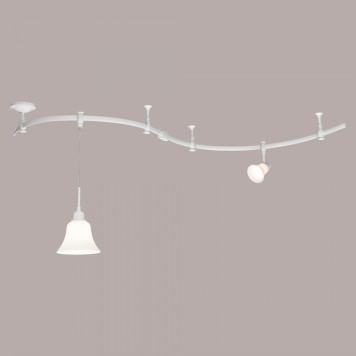 Трековый светильник Citilux Модерн CL560210-2