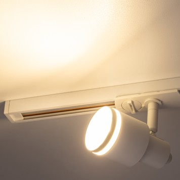 Трековый светильник Citilux Bruno CL565T10-10