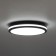 Уличный потолочный светильник Citilux Luns CL711021V