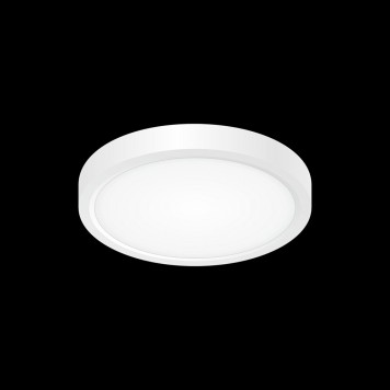 Светильник настенно-потолочный Citilux Бейсик CL738120N-1