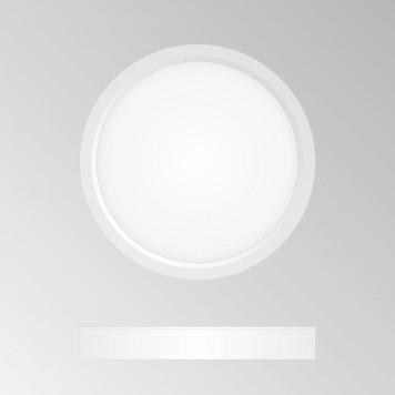 Светильник настенно-потолочный Citilux Бейсик CL738120N-2