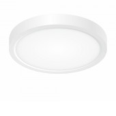 Светильник настенно-потолочный Citilux Бейсик CL738120N