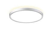 Светильник потолочный Citilux Norma CL748240