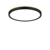 Светильник потолочный Citilux Norma CL748241