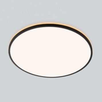 Светильник потолочный Citilux Norma CL748601-2