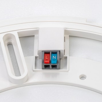 Светильник потолочный Citilux Norma CL748601-10