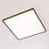 Светильник потолочный Citilux Norma CL748K401