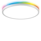 Светильник настенно-потолочный Citilux Norma CL749320