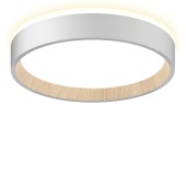 Светильник настенно-потолочный Citilux Etalon CL750180