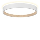 Светильник настенно-потолочный Citilux Etalon CL750240