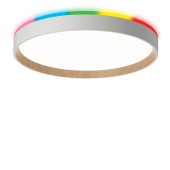 Светильник потолочный Citilux Etalon CL750320R