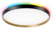 Светильник потолочный Citilux Etalon CL750401R