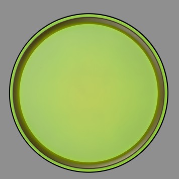 Светильник потолочный Citilux Boss CL751251G-8