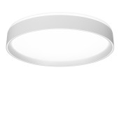 Светильник потолочный Citilux Boss CL751350G