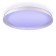 Светильник потолочный Citilux Mega CL752450G